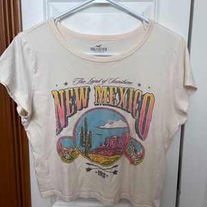 Hollister cropped graphic tee. Size Large. Never worn, in excellent condition.